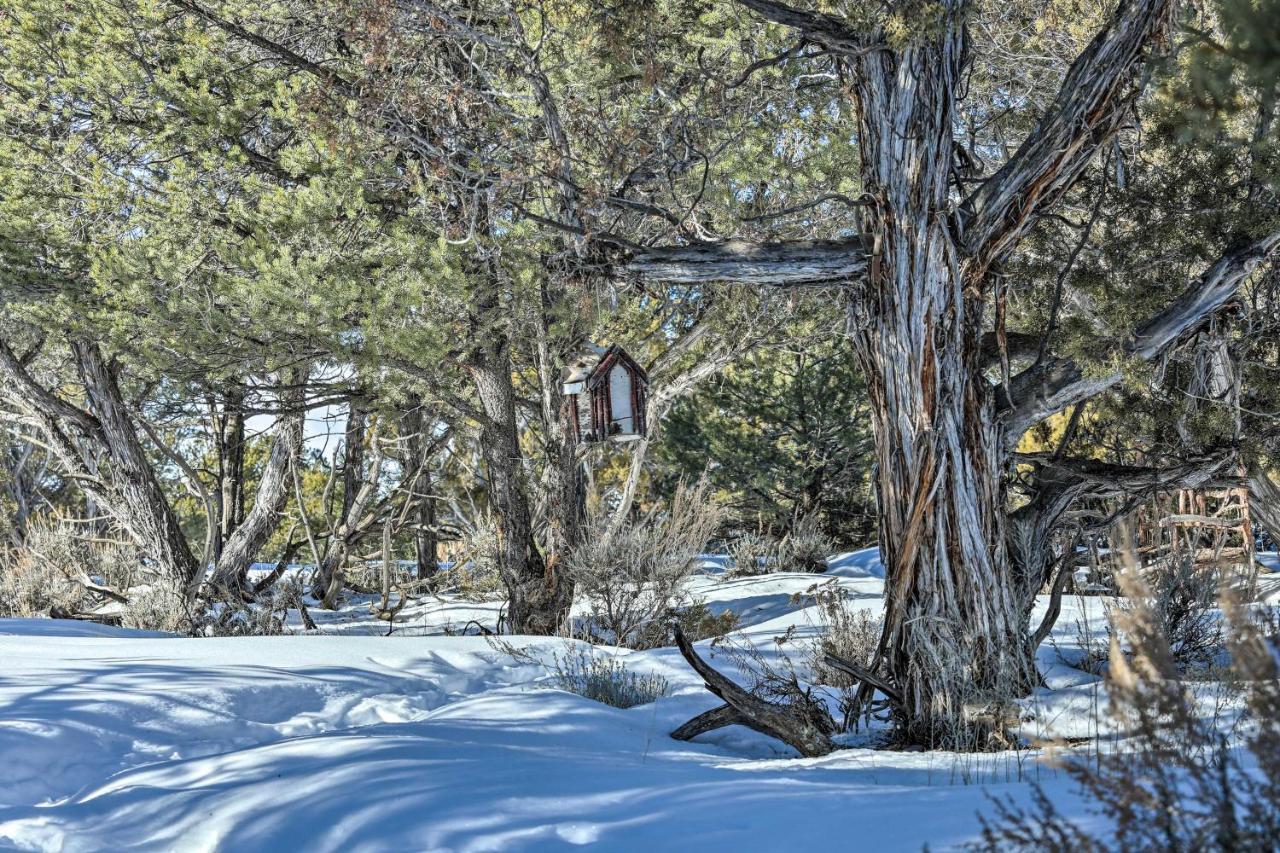 Eagles Landing A Quiet Colorado Mountain Escape Villa ภายนอก รูปภาพ